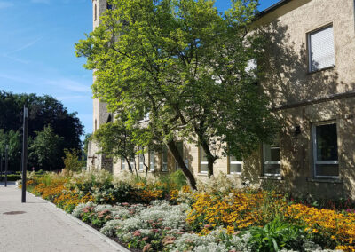 Bepflanzung Kapellenplatz Stift Tilbeck